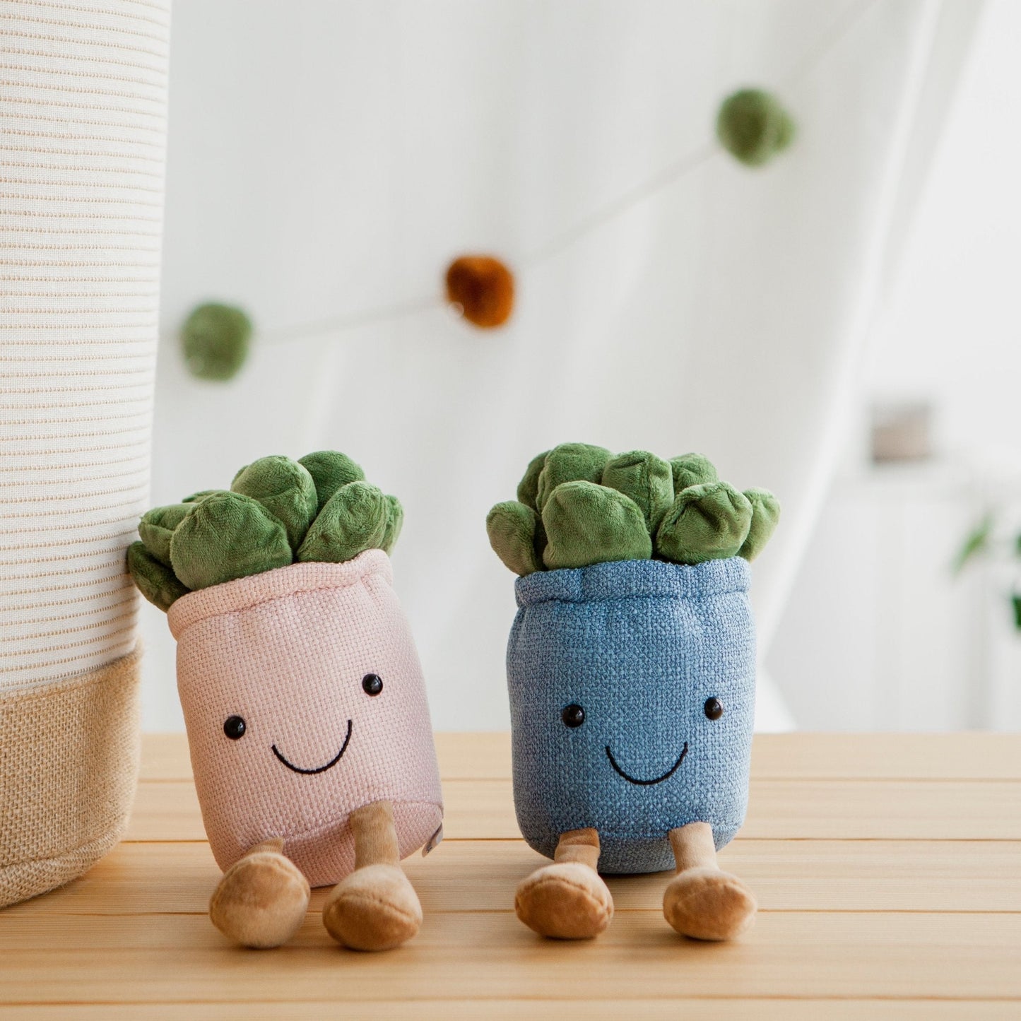 Silly Succulent Set (Blue, Pink) - Sunny Succulents